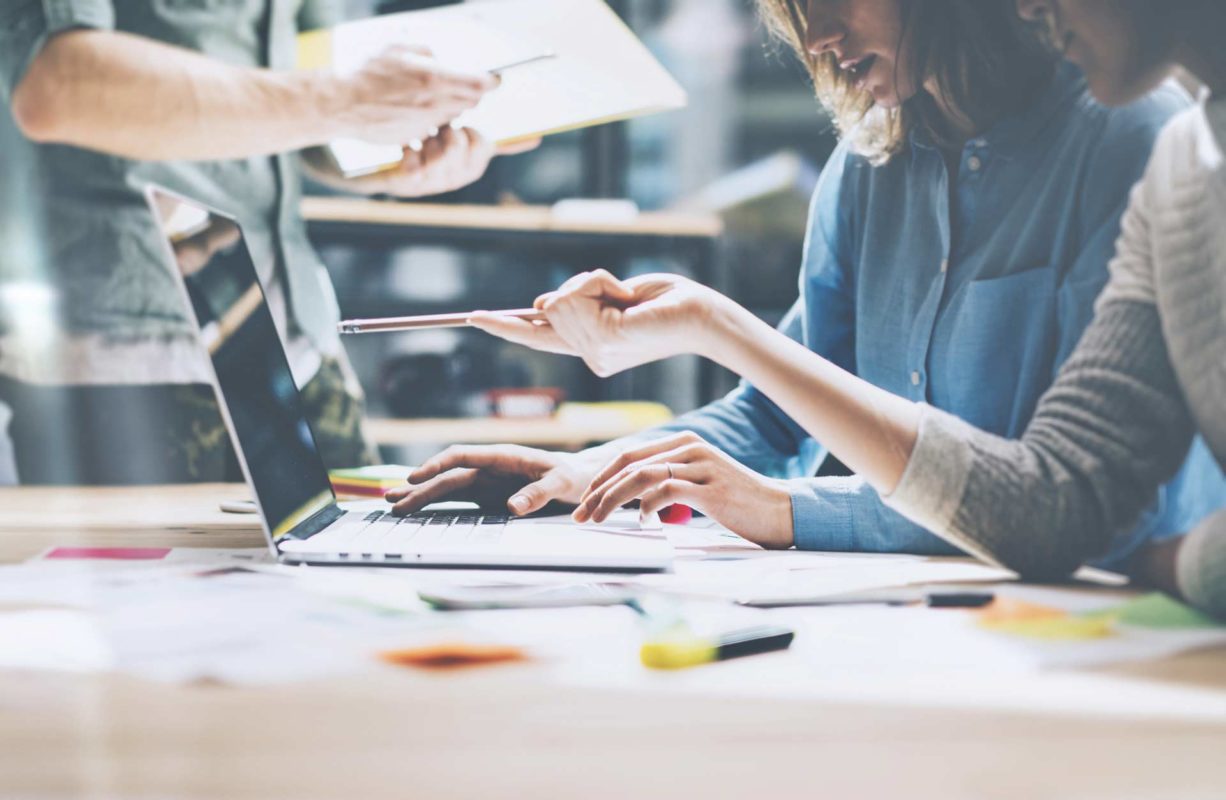 editable dynamic website development service Ernakulam Kerala