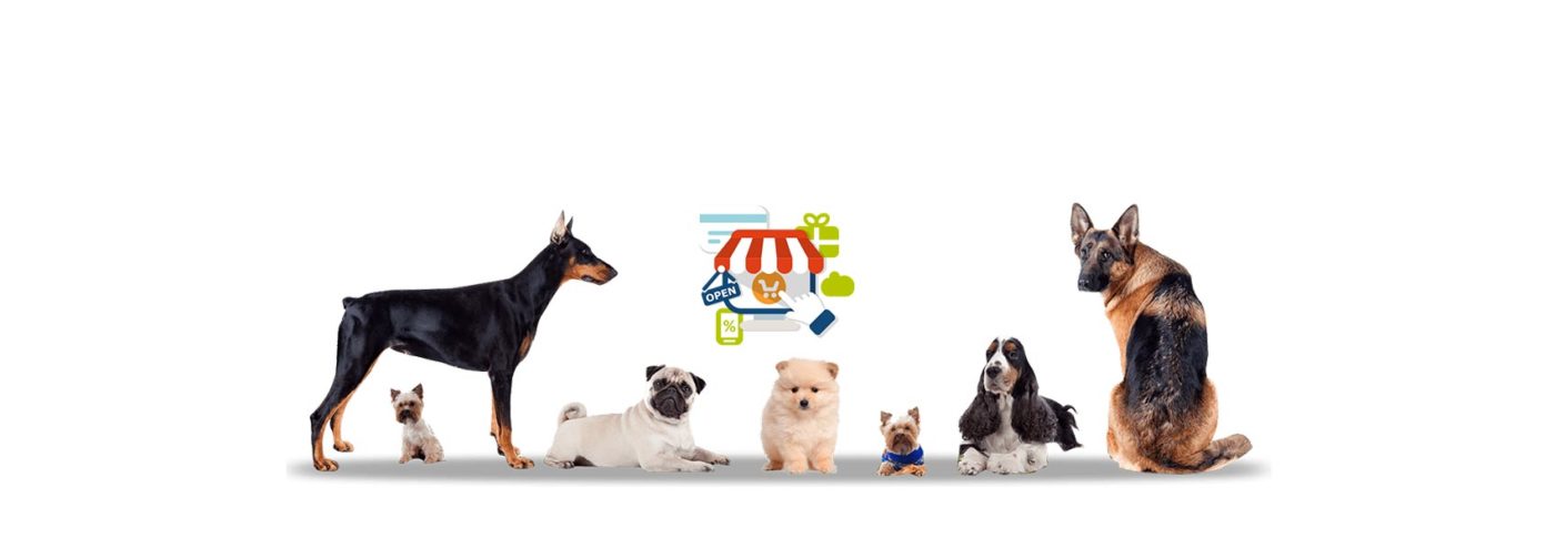 we will help you to start an online pet store eCommerce website in India