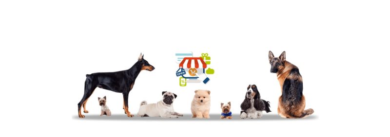 we will help you to start an online pet store eCommerce website in India